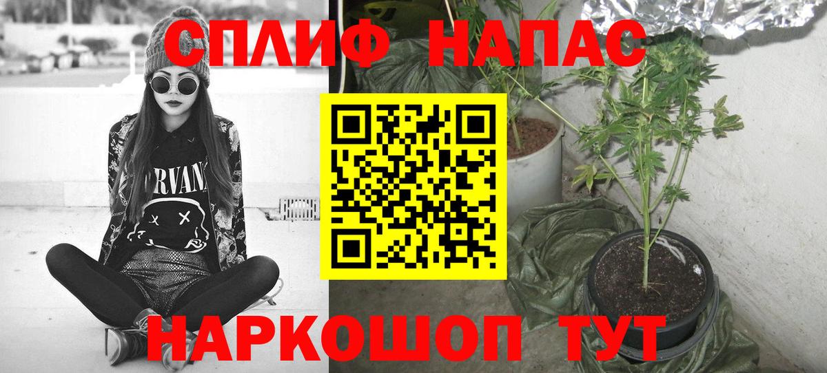 Бошки Шишки THC 21%  Бошки Шишки ГИДРОПОН  Вольск  Вход с VPN 